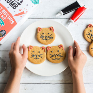 Craft & Crumb Cool Cats Bake And Craft Kit